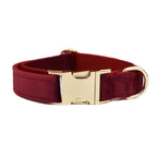 D&D Paws  Collar / XS Red Wine Velvet Set