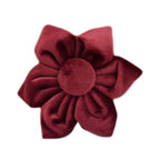 D&D Paws  Flower / XS Red Wine Velvet Set