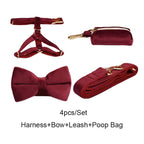 D&D Paws  Harness + Leash + Bowtie + Poop Bag / XS Red Wine Velvet Set