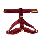 D&D Paws  Harness / XS Red Wine Velvet Set