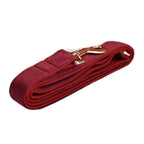 D&D Paws  Leash / XS Red Wine Velvet Set